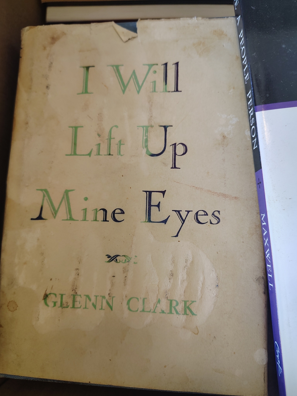 'I Will Lift Up Mine Eyes' Book